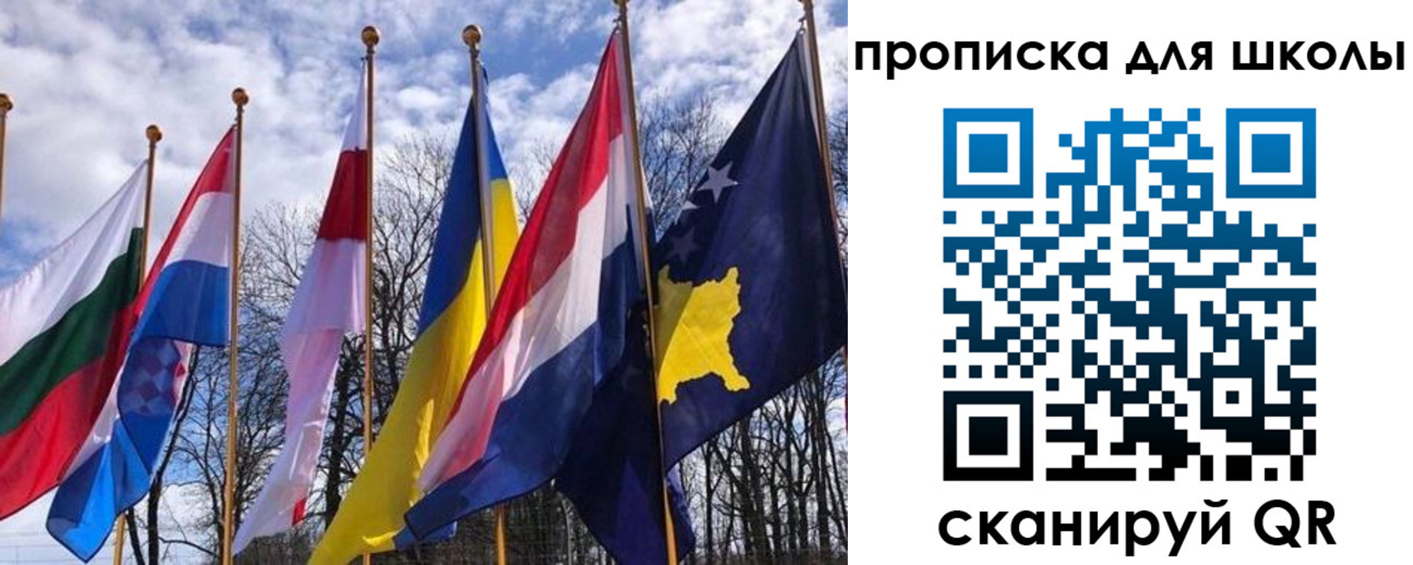 прописка штамп в Покрове